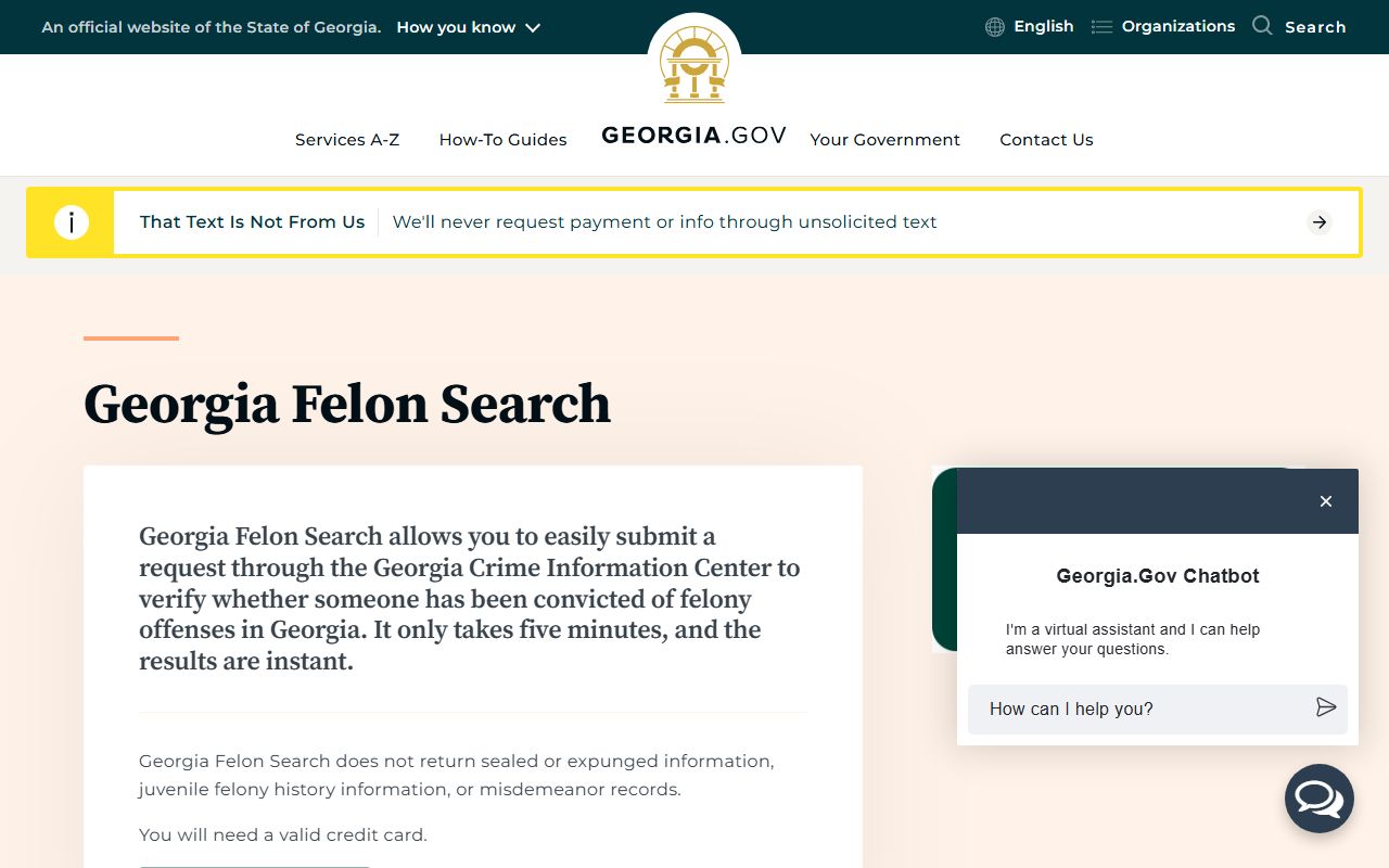 Georgia Felon Search service page for criminal records
